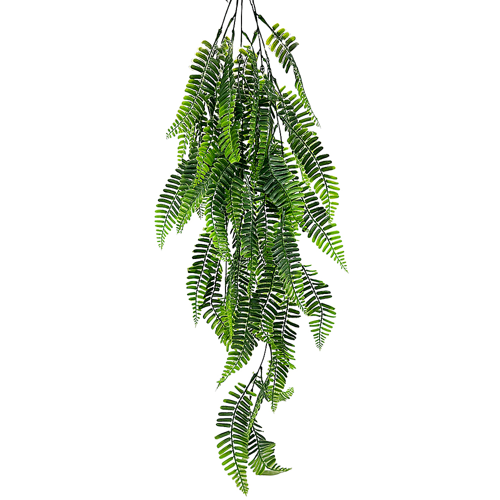 Planta Colgante Helecho Serrucho