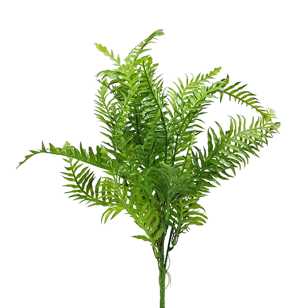 Ramo de Planta Helecho