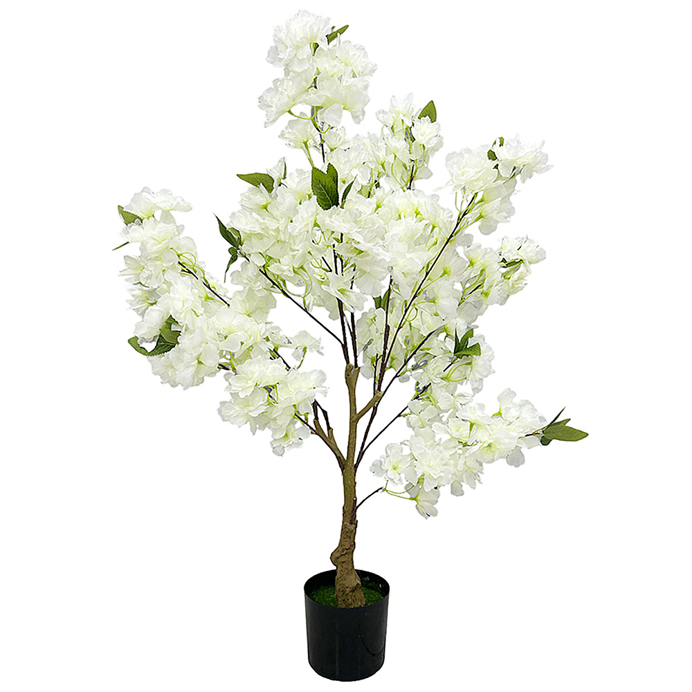 Árbol Cerezo Chico