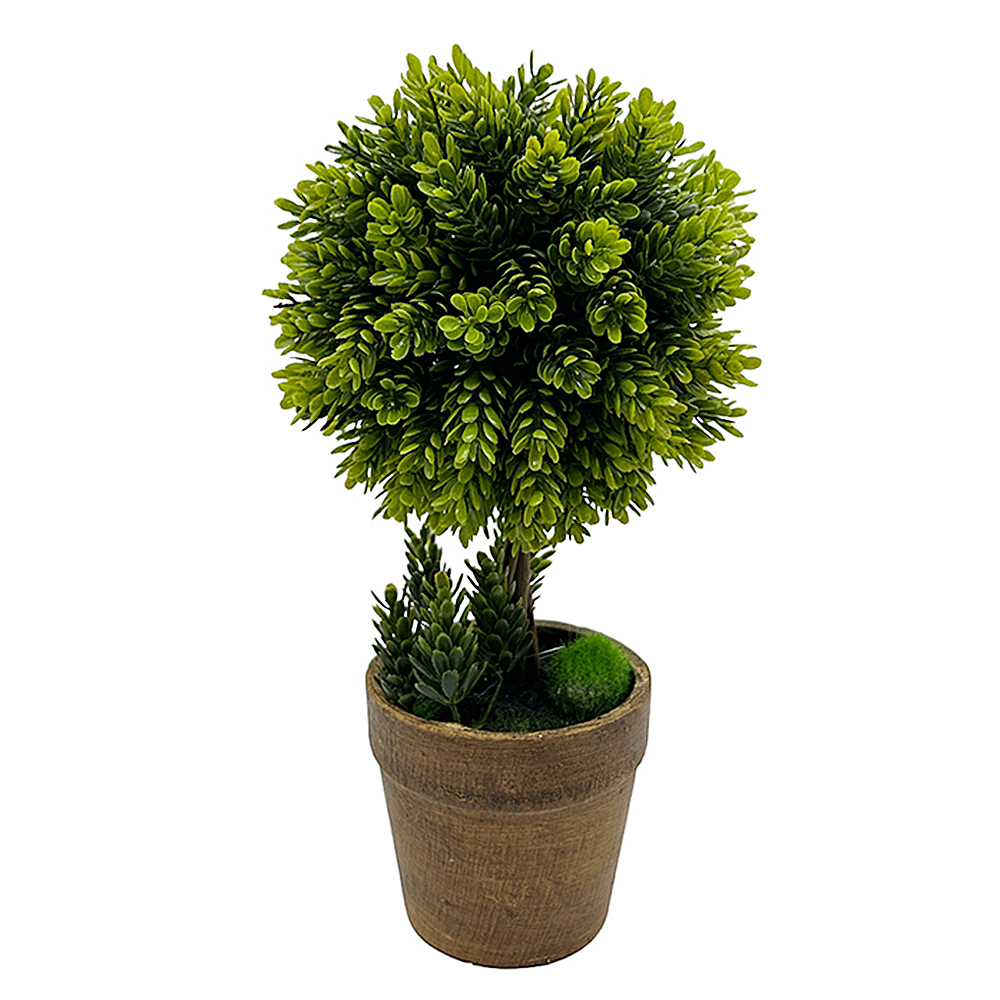 Árbol en Maceta de Cerámica