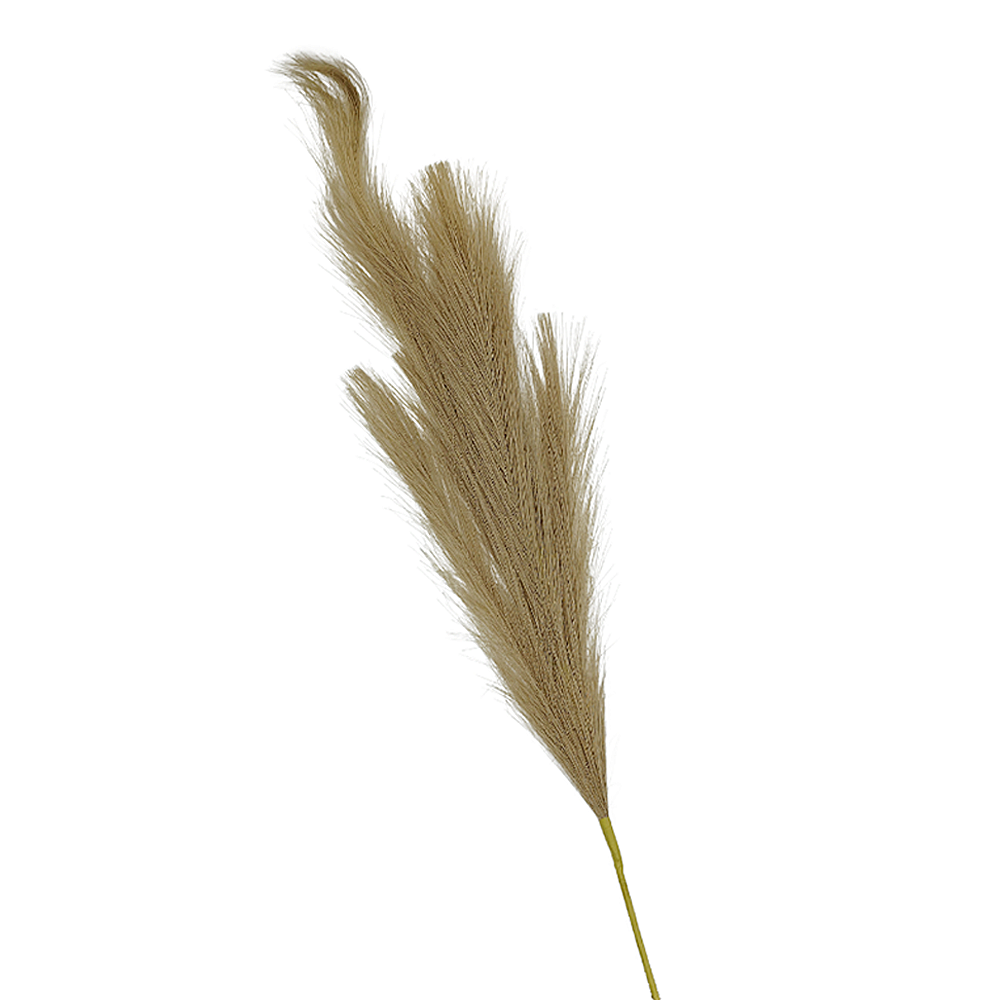 Vara Cola de Zorro Tela Mediana