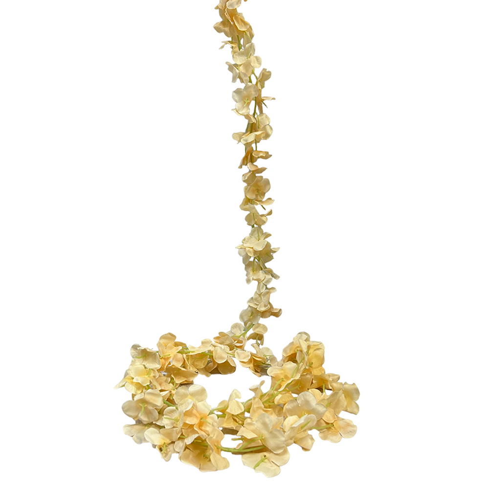 Guía de Flor Hortensia