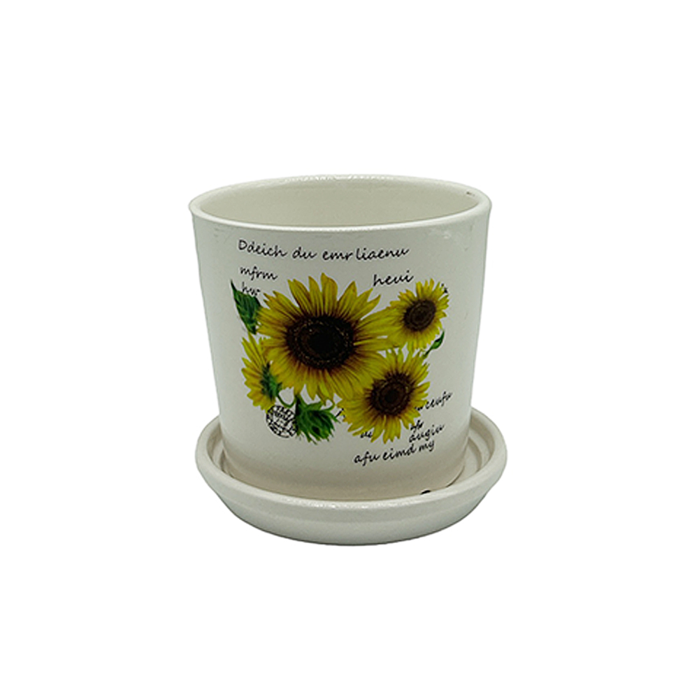 Maceta de Cerámica con Plato Flores