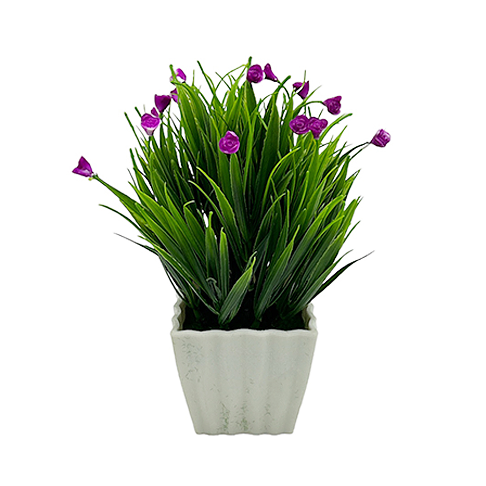 Mini Flor con Pasto en Maceta