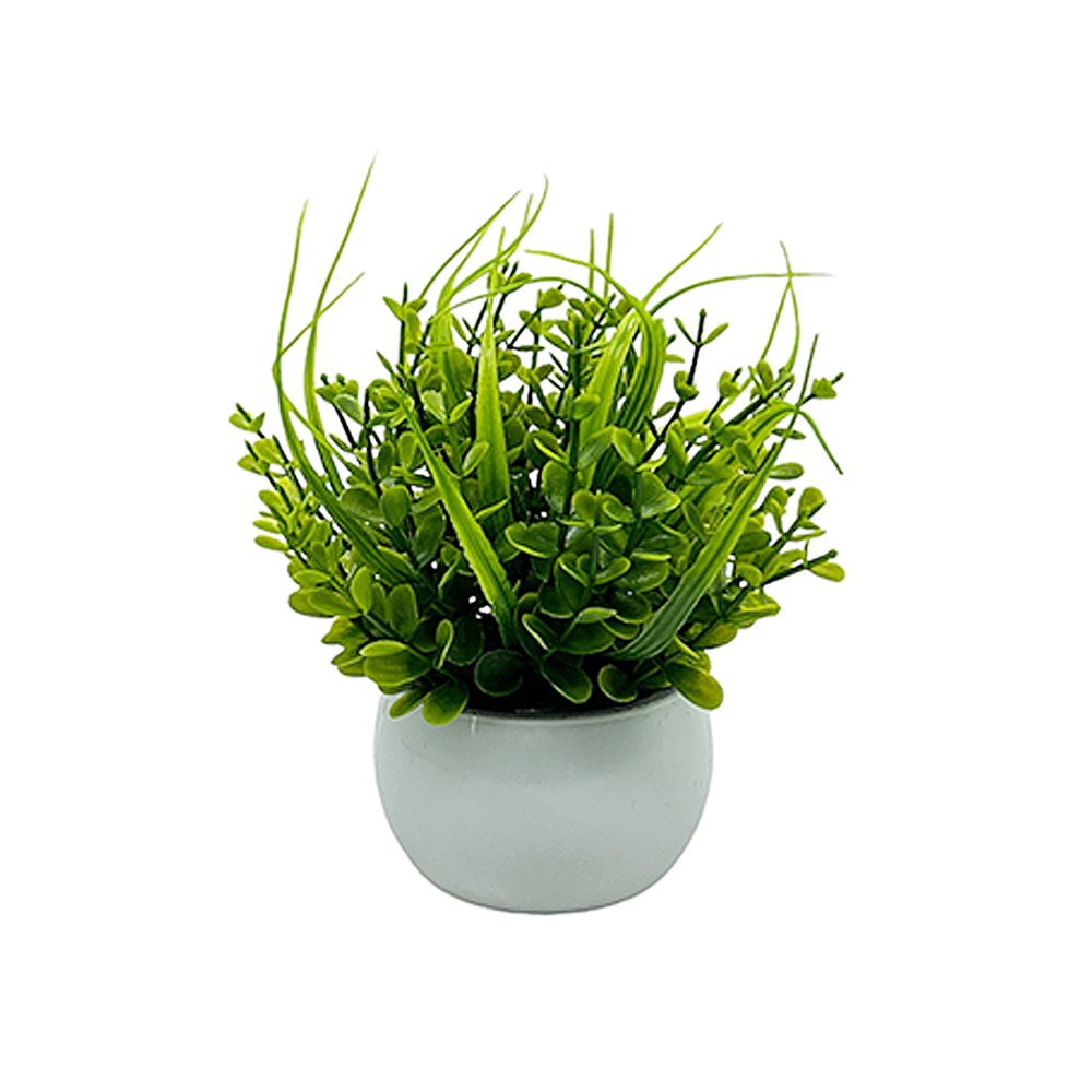 Pasto en Maceta Chico