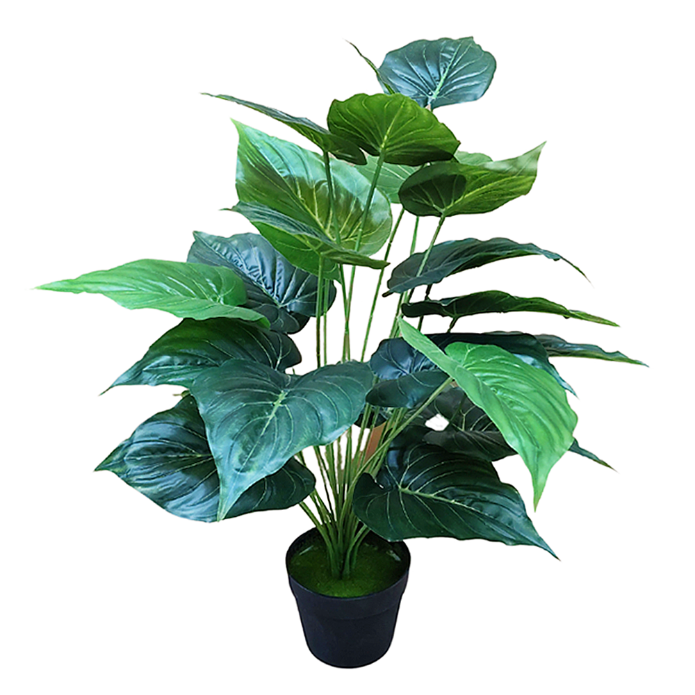 Planta Alocasia 75cm