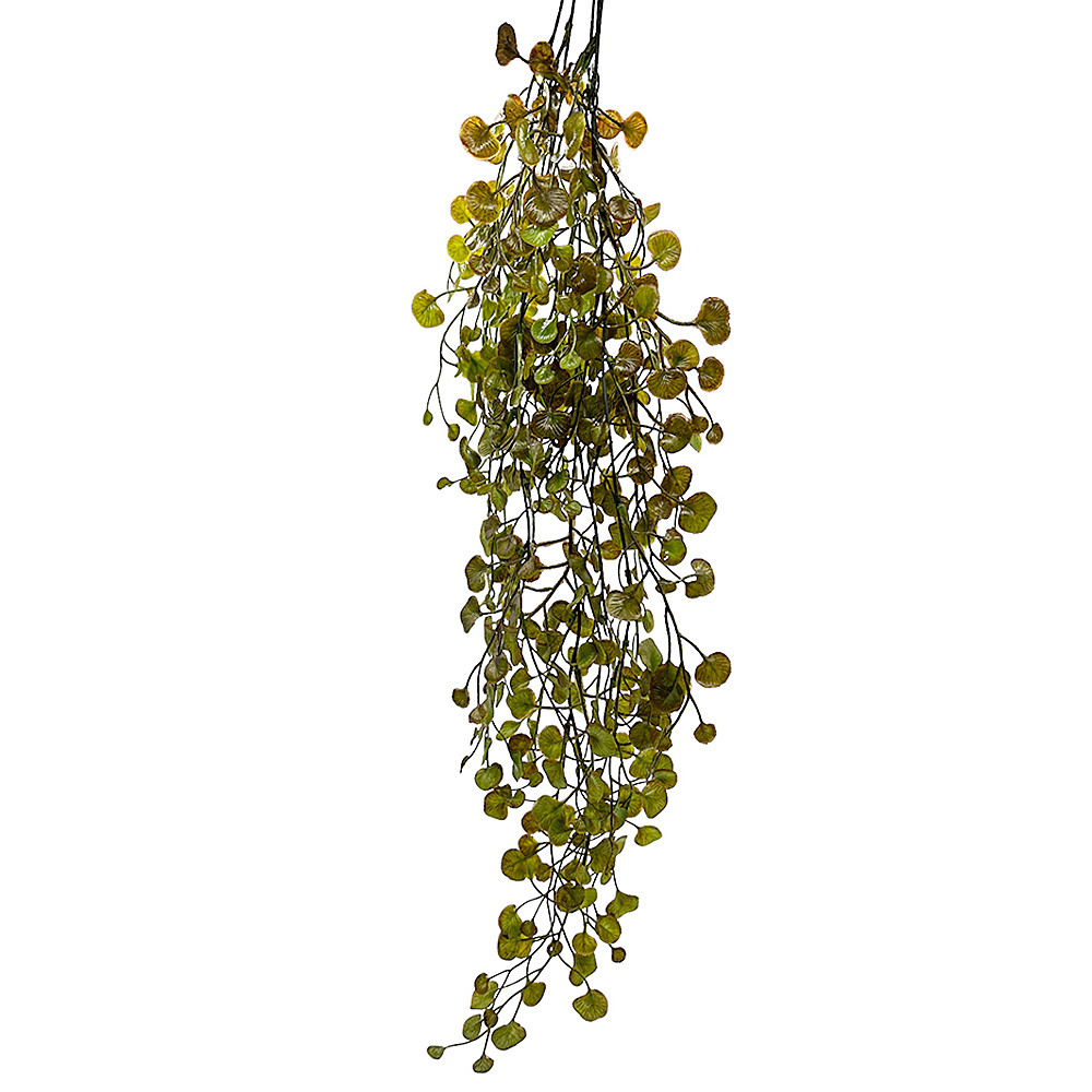 Planta Berro Colgante