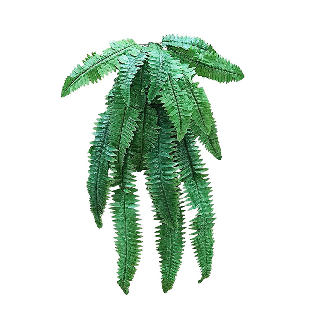 Ramo Helecho Colgante