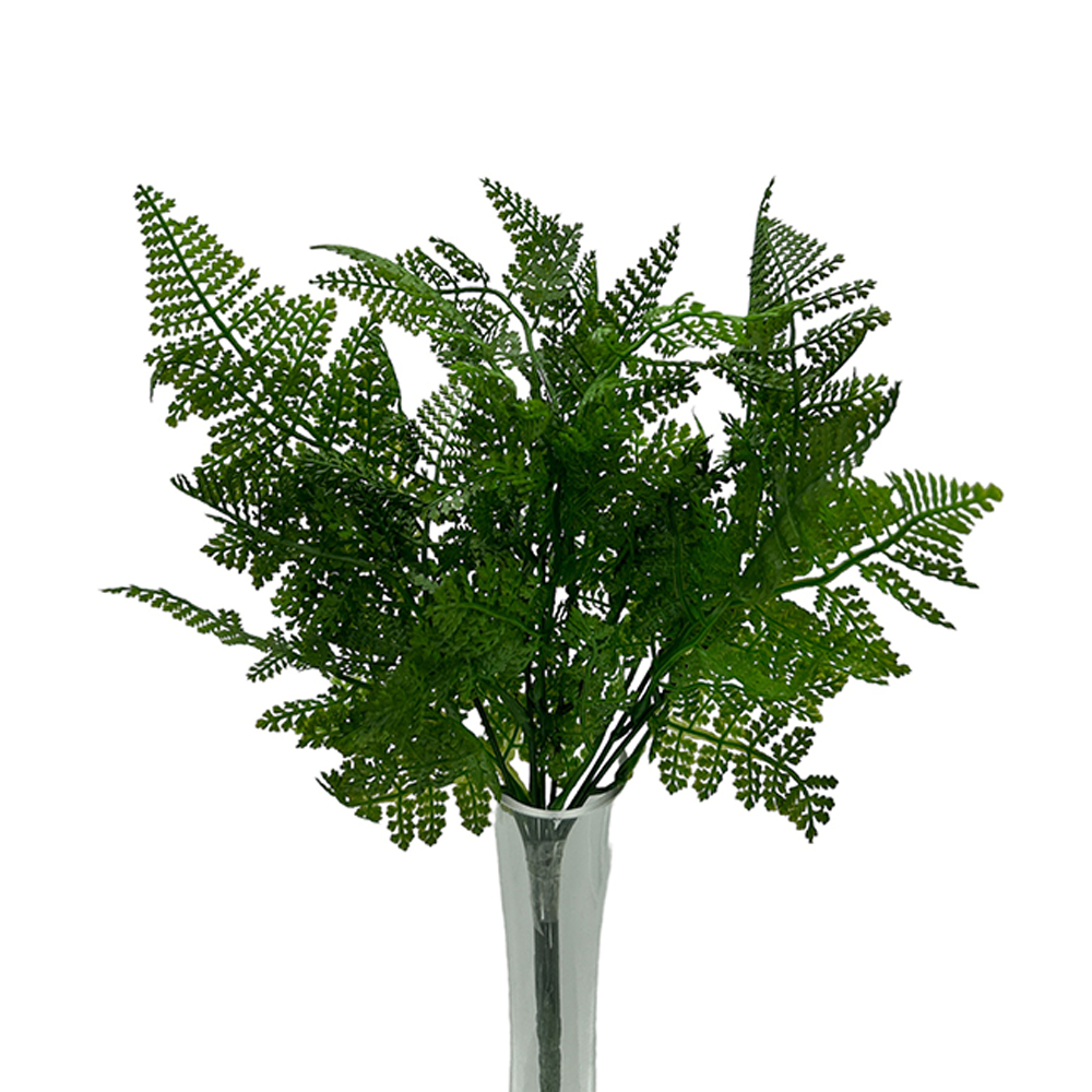 Ramo Hoja Helecho