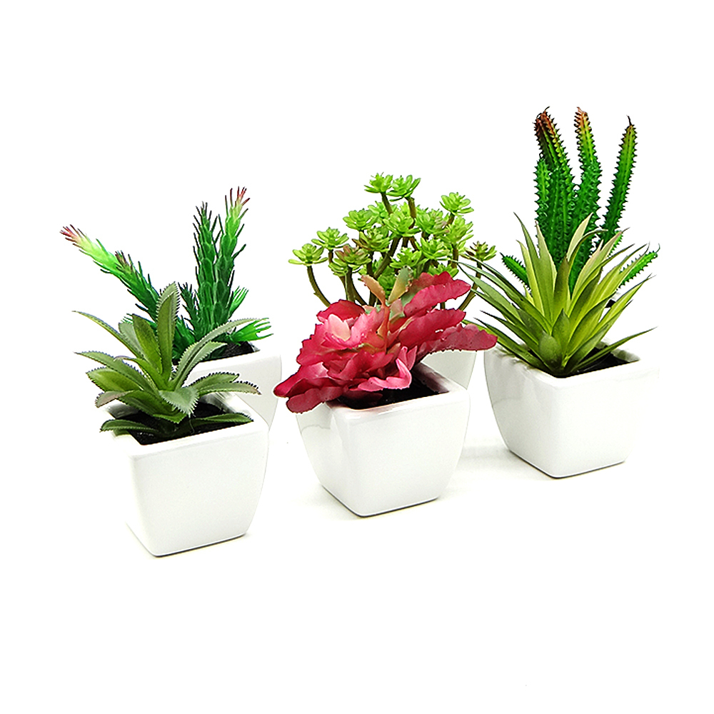 Tunas Artificiales en Maceta de Cerámica