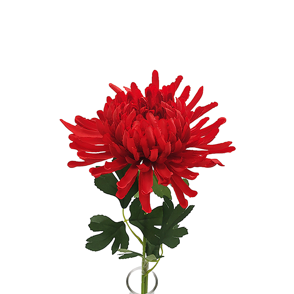 Vara Crisantemo Tallarín