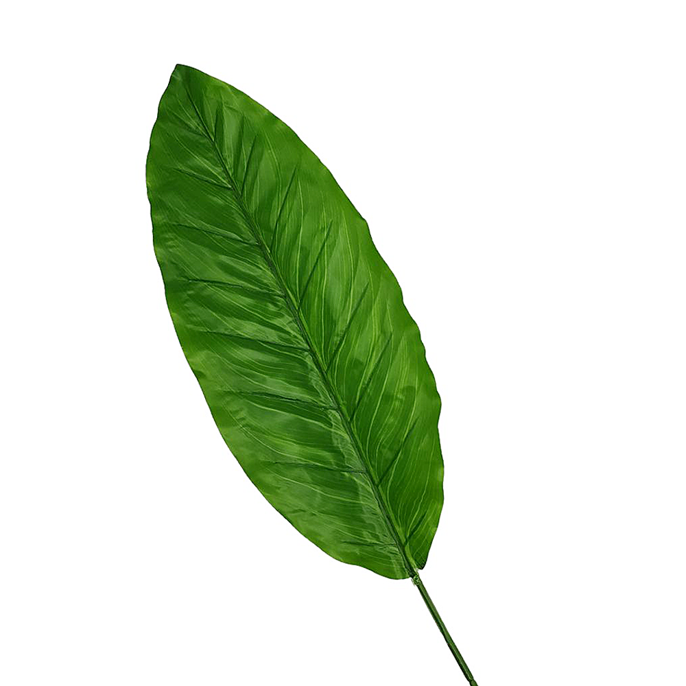 Vara Hoja Gomero