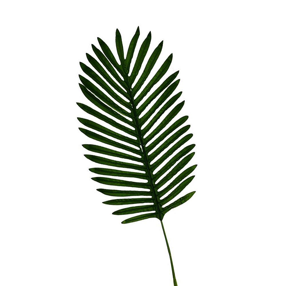 Hoja Palma 69cm