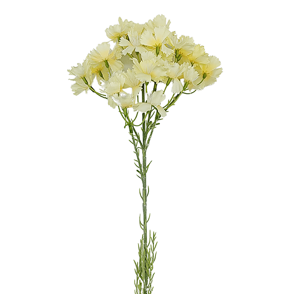 Vara Mini Clavelina Color