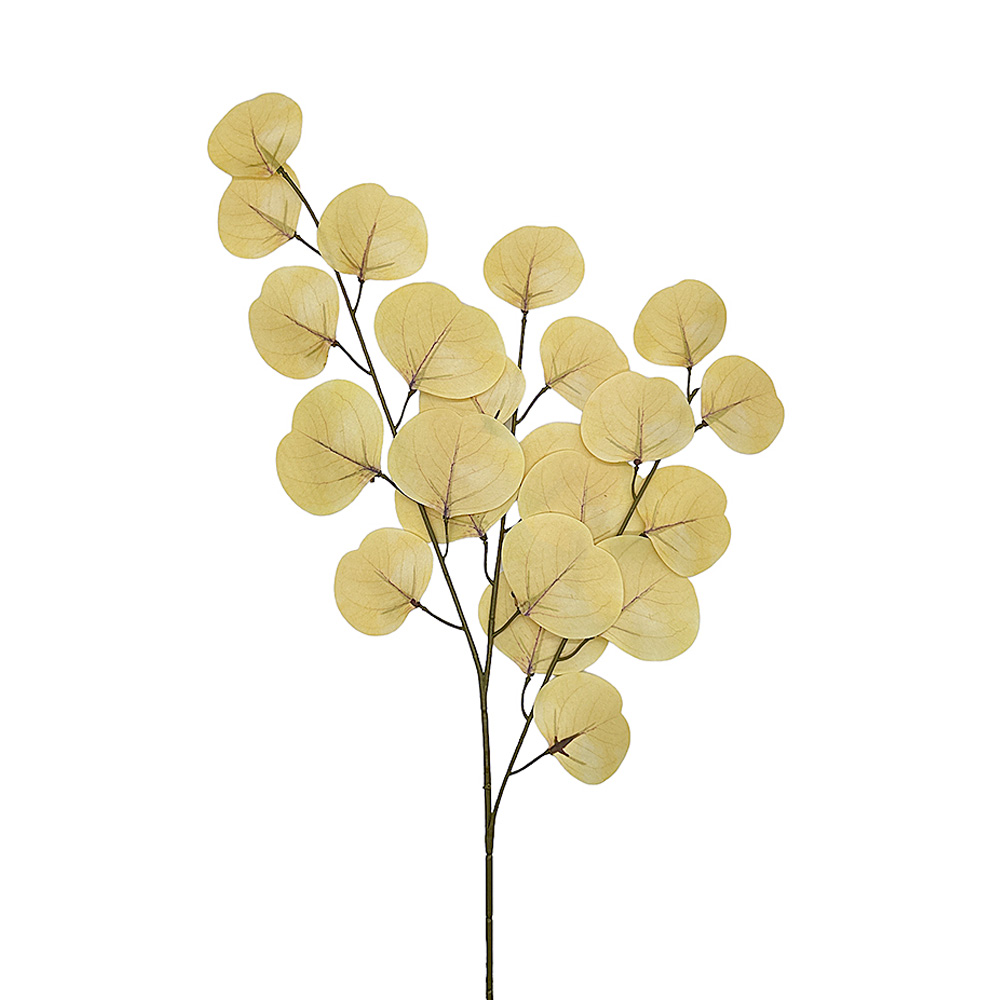 Vara Hoja Redonda Seca