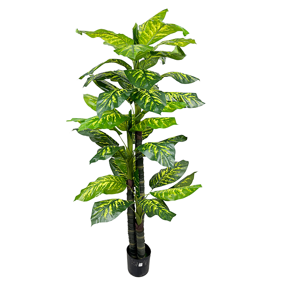 Planta Gomero 2.10mt