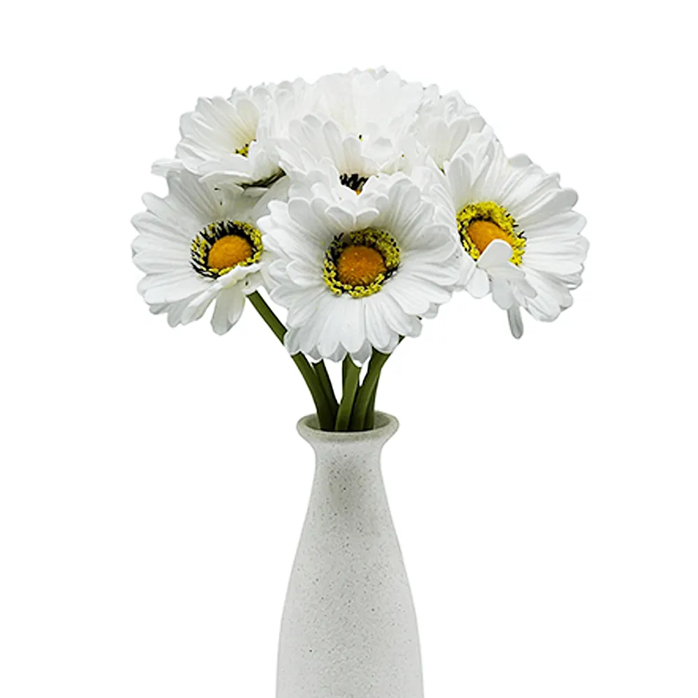 Atado de Gerberas