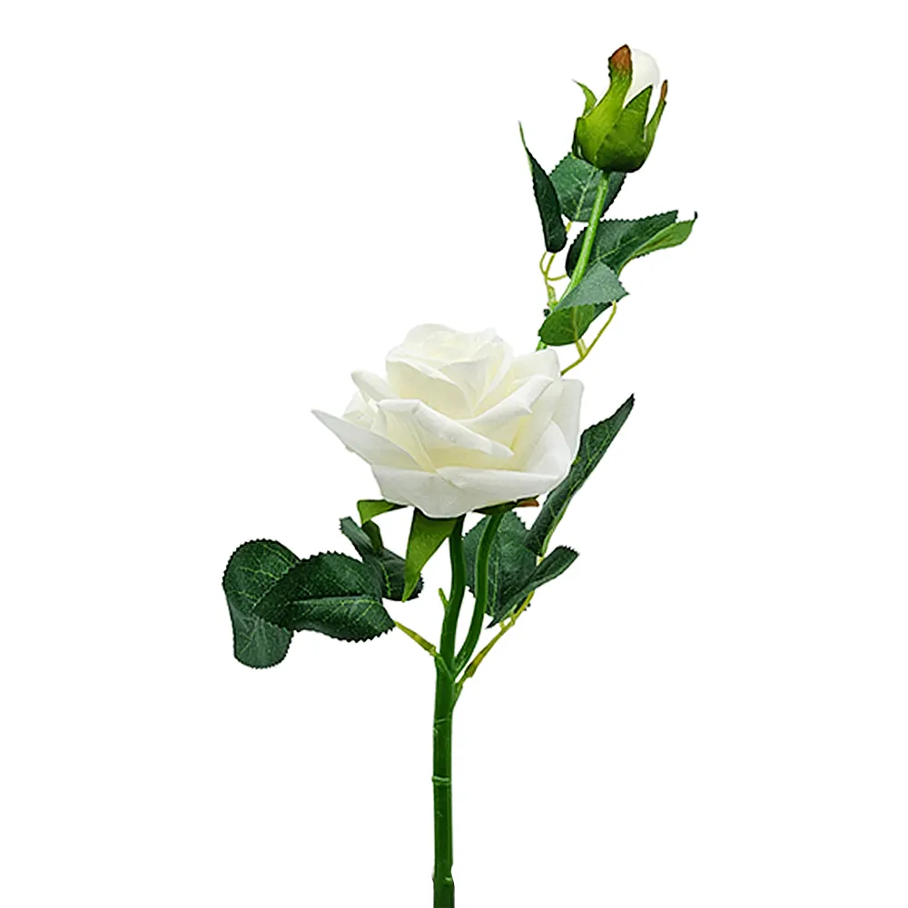 Vara de Rosa Gardenia con Pimpollo