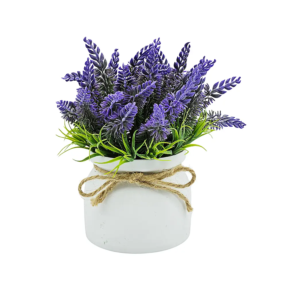 Planta Lavanda en Maceta