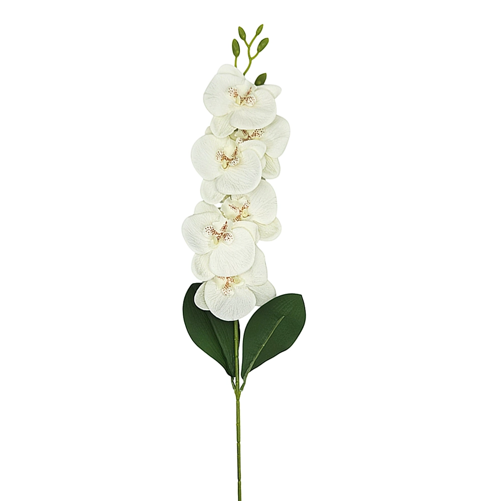 Vara de Orquídeas