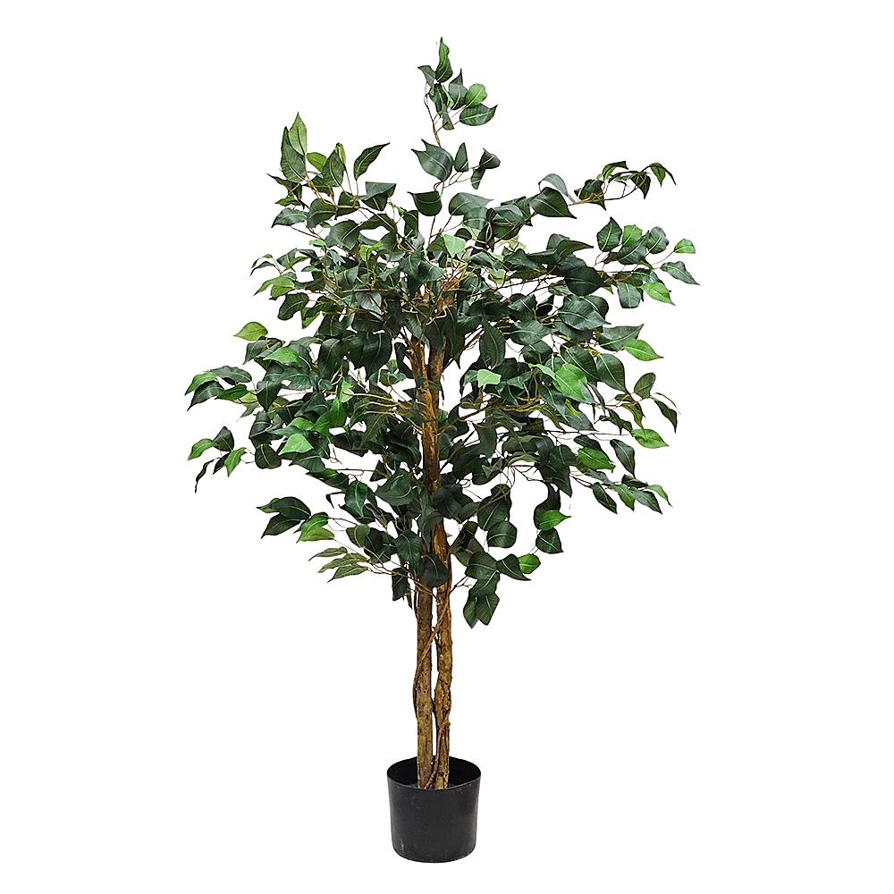 Arbol Ficus 1.50mt