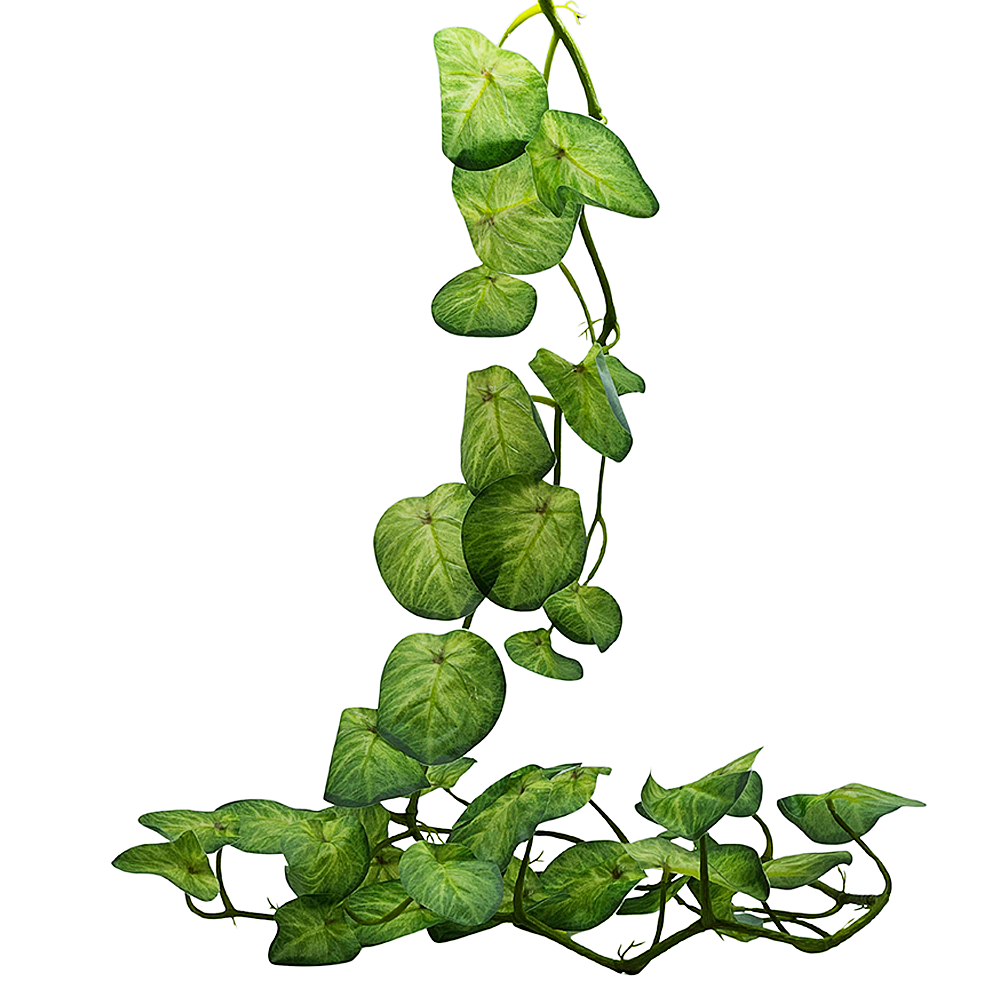 Guía Enredadera de Hojas 1,7mt