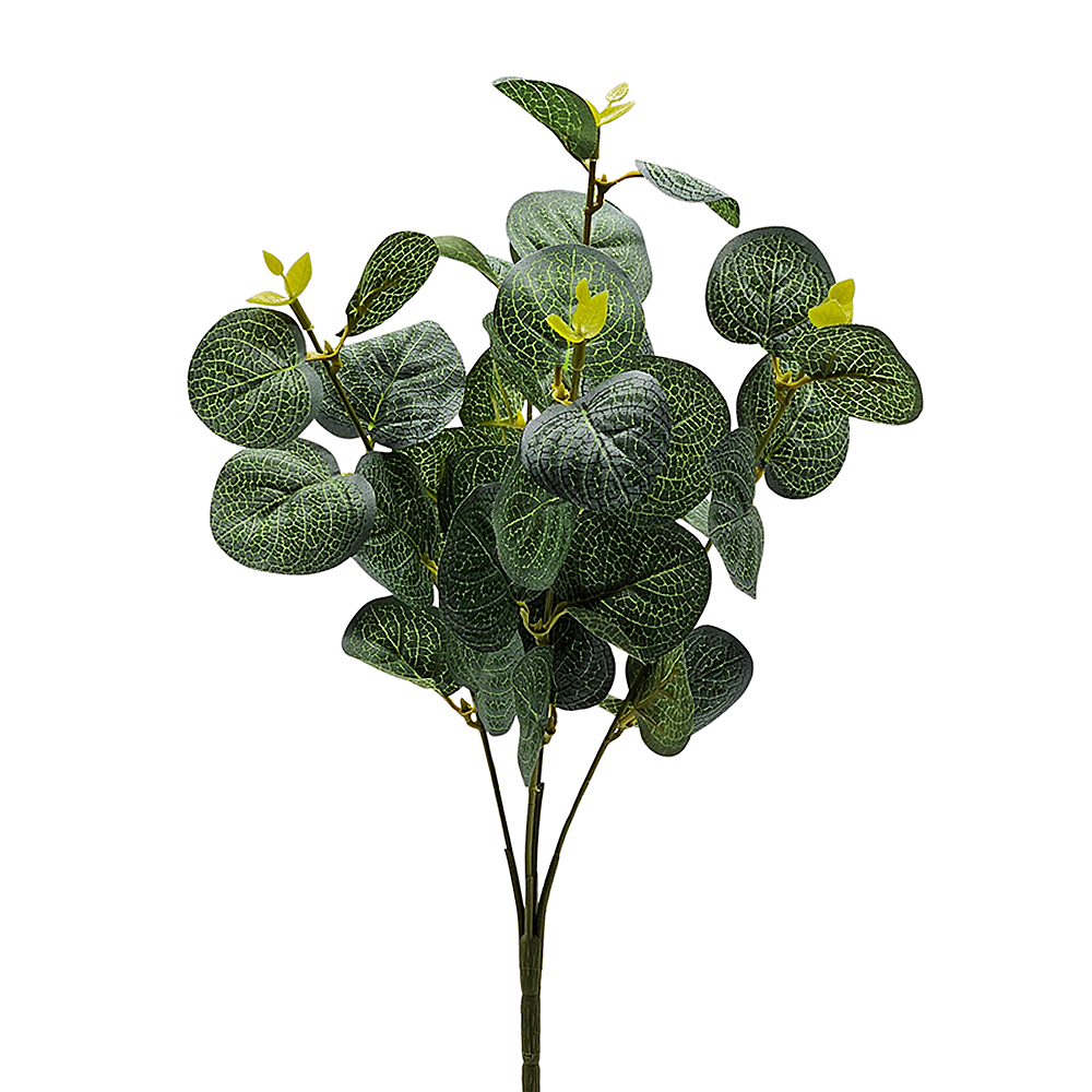 Ramo Hoja Eucalipto