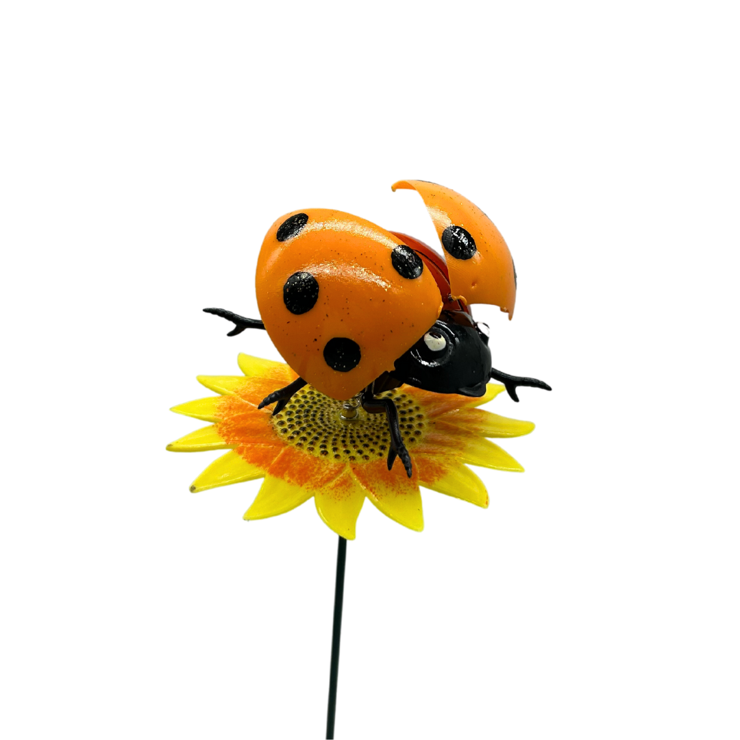 Tutor San Antonio en Girasol