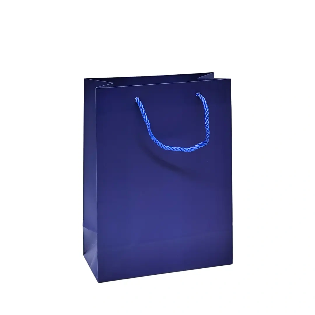 Bolsa de Regalo Lisa Varios Colores 40cm Alto - Pack 12uni.