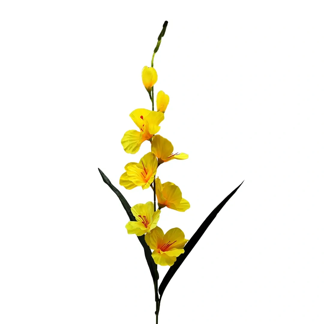 Vara De Flor Gladiolo