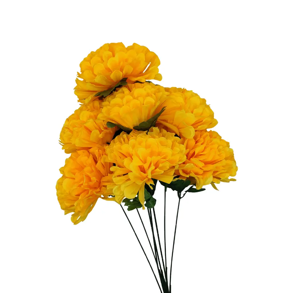 Ramo de Crisantemos con 7 Flores